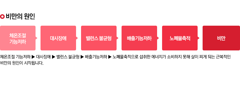 비만의 원인